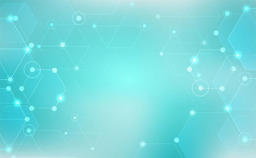 品牌seo优化招商 品牌seo优化招商