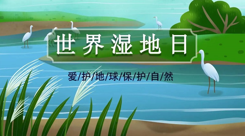 沈阳搜索引擎关键词优化价格 打造高效网络推广策略的关键因素 沈阳搜索引擎关键词优化价格 打造高效网络推广策略的关键因素