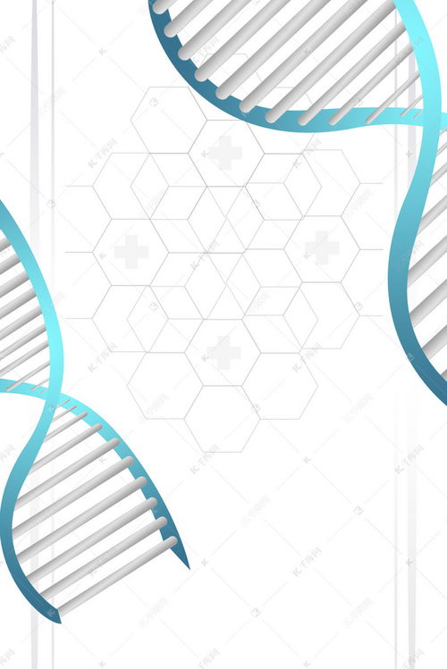 苏州网站seo十大排名