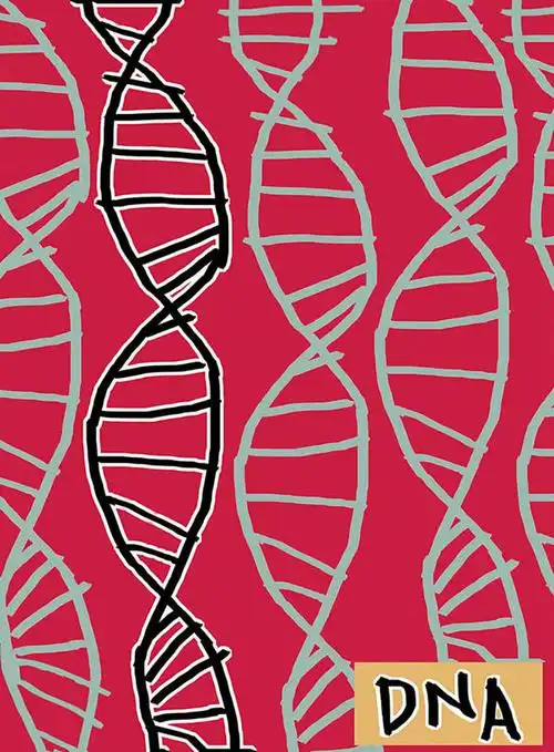 天津网站优化推荐公司