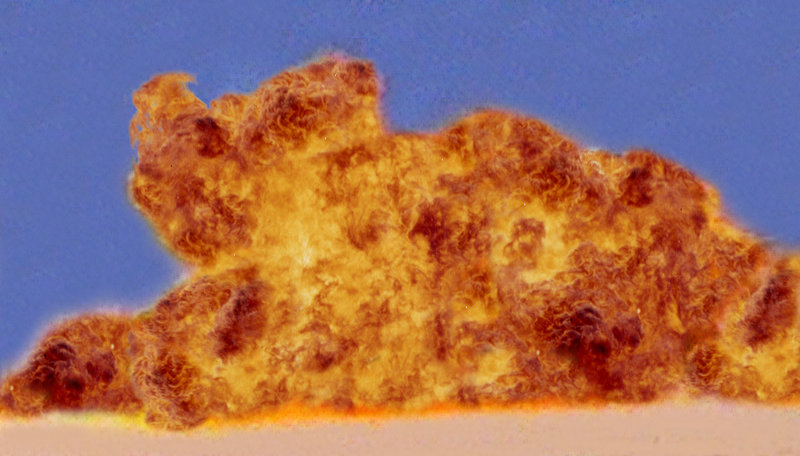 网站建设优化服务效果