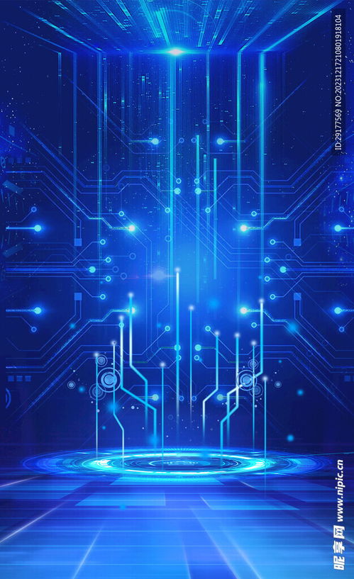 网站优化去哪里报名 