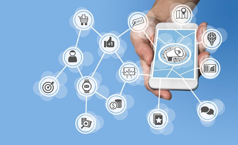 容易养的狗的排名