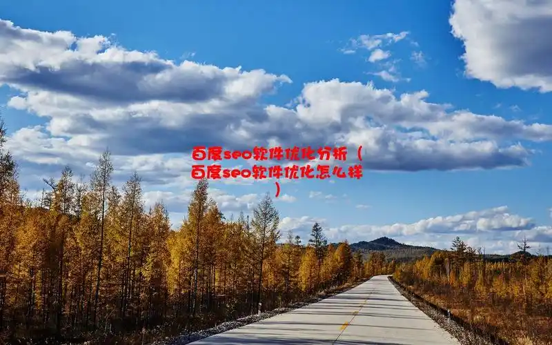 宝鸡专业网站优化效果