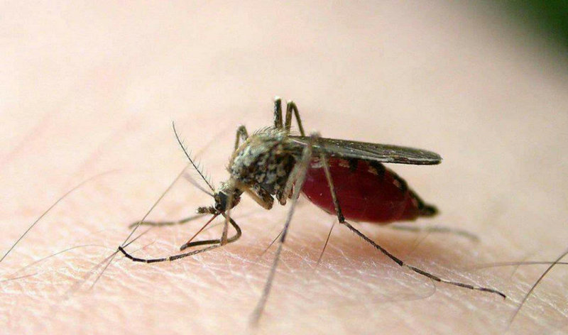 4斤黄金凤冠展出时被毁谁来赔 4斤黄金凤冠展出时被毁谁来赔