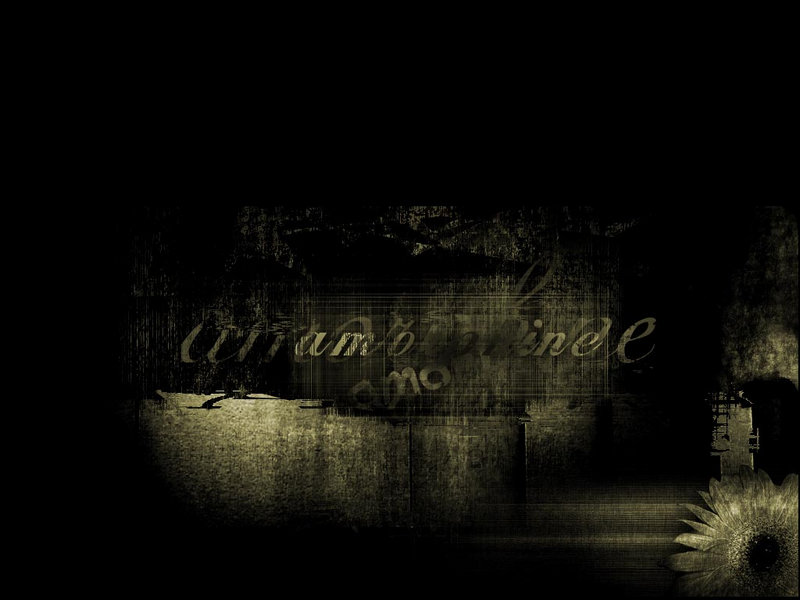 吉林刷关键词排名软件 吉林刷关键词排名软件