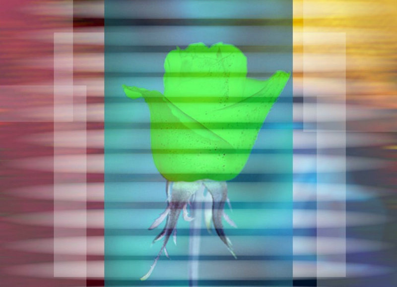 上海高档饭店排名 上海高档饭店排名