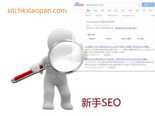 seo需要具备什么能力 seo需要具备什么能力