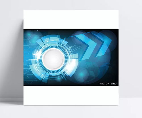 2025综合大学排名