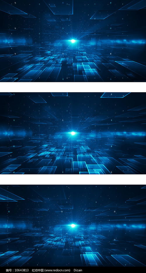 南充免费制作seo