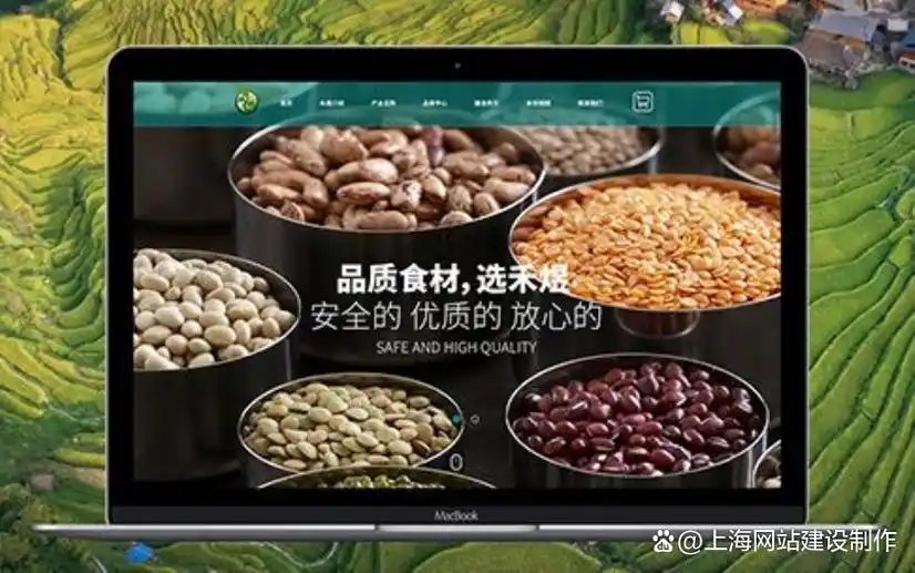 可以搜索的网站有哪些 可以搜索的网站有哪些