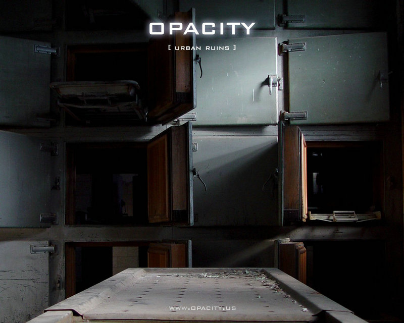 拼多多搜索排名查询