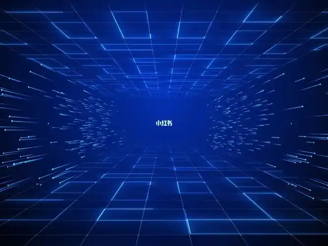 seo主要抓取什么