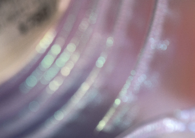 西安院校排名及分数线