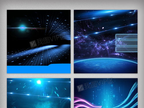 金华seo收费标准