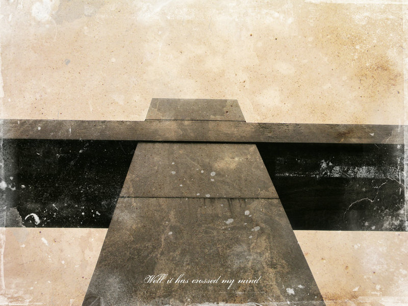 小型宠物犬排名 小型宠物犬排名