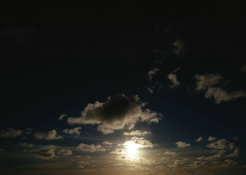 上海谷歌优化公司 上海谷歌优化公司