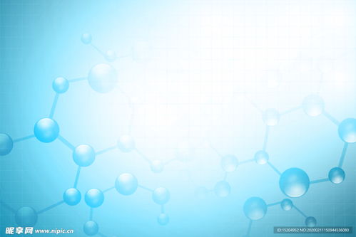 网站Title的优化技巧与策略 搜索引擎排名与用户体验