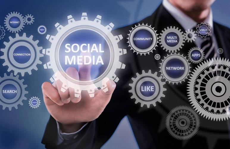 斗狗大赛 我想看斗狗比赛 斗狗大赛 我想看斗狗比赛