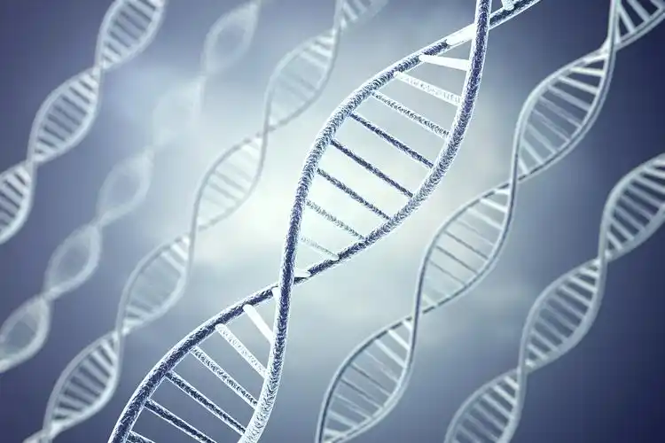 成都定制版网站优化网站性能 优化用户体验 成都定制版网站优化网站性能 优化用户体验