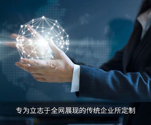 白帽seo优化软件 白帽seo优化软件