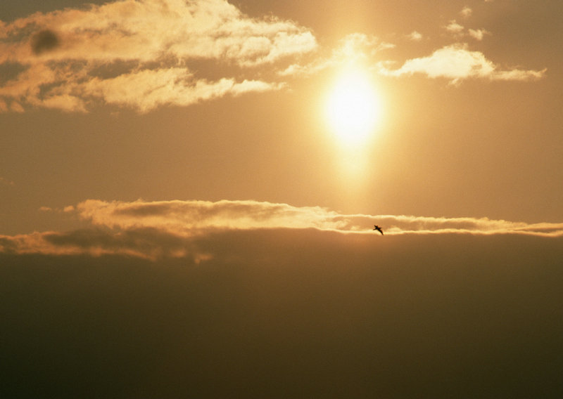 天津网站排名提升多少钱 天津网站排名提升多少钱