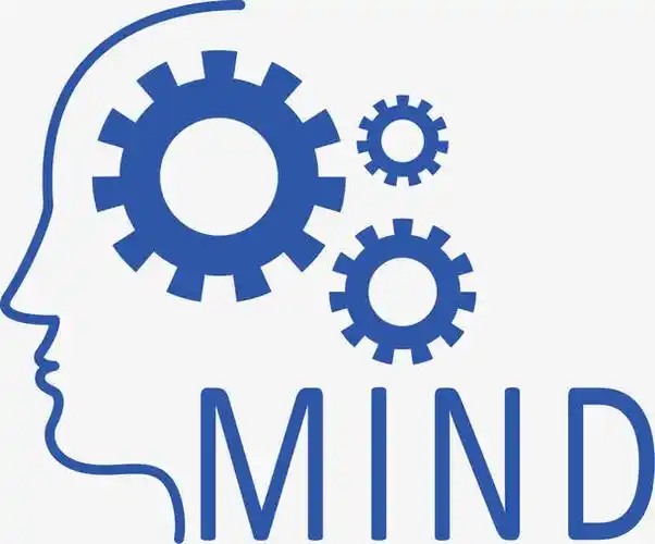 深圳龙岗区小学排名 深圳龙岗区小学排名