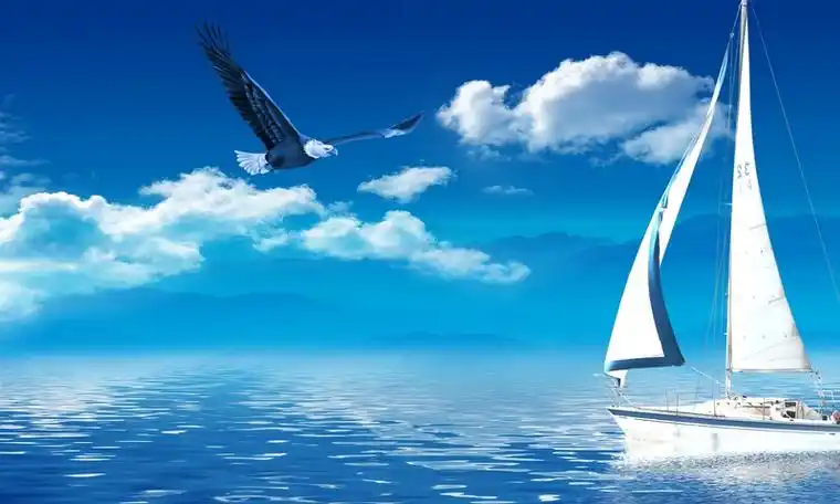 东莞网站建设实例 东莞网站建设实例