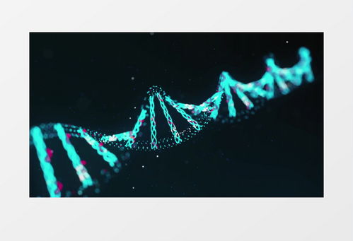 什么叫百度收录