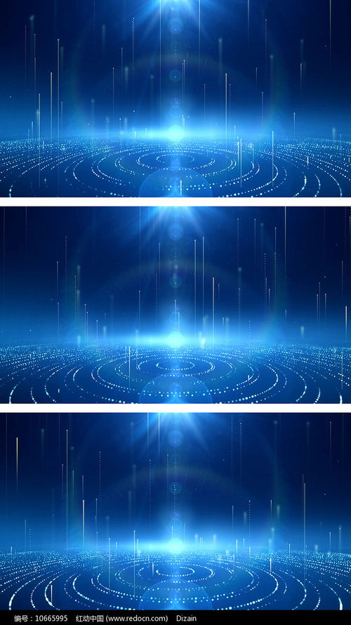 惠州网站SEO优化哪家强 权威对比分析带你找到最佳合作伙伴