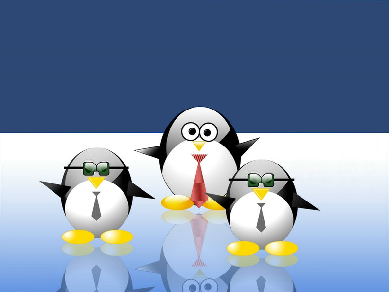 郑州关键词优化工作找寻攻略 打造高曝光率 企业知名度